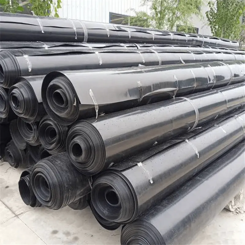 Specifications for Construction of Geomembrane Impermeabilization Works Cathy