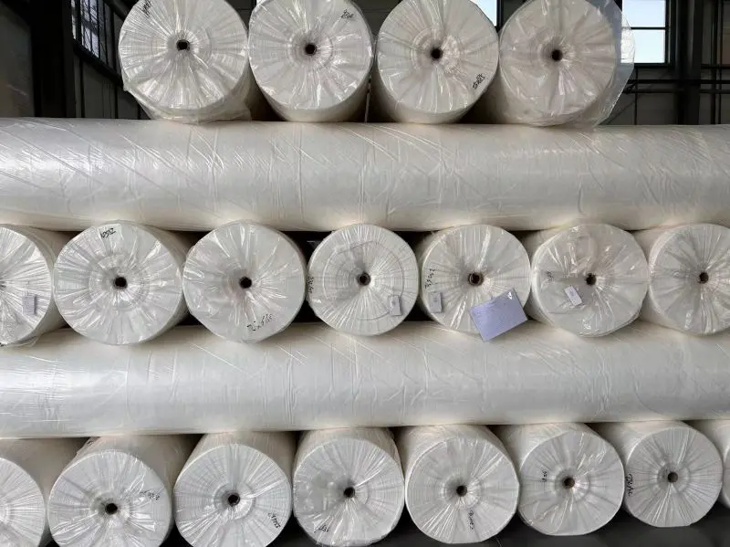 PET non woven geotextile fabric needle punched filament geotextile fabric for roads Echo