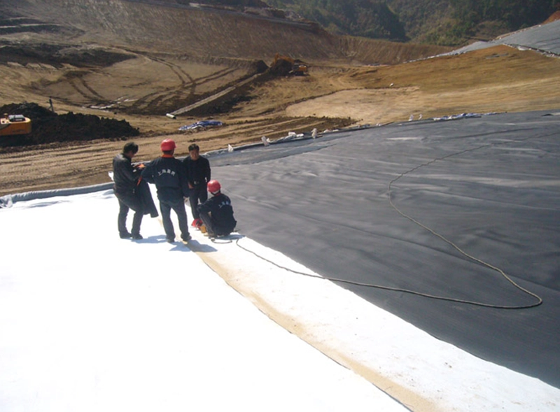 LDPE geomembrane for environmental protection and civil engineering ls