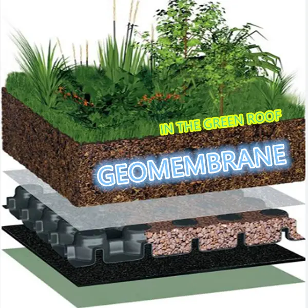 Specific Application of Geomembranes in Green Roof Systems ls