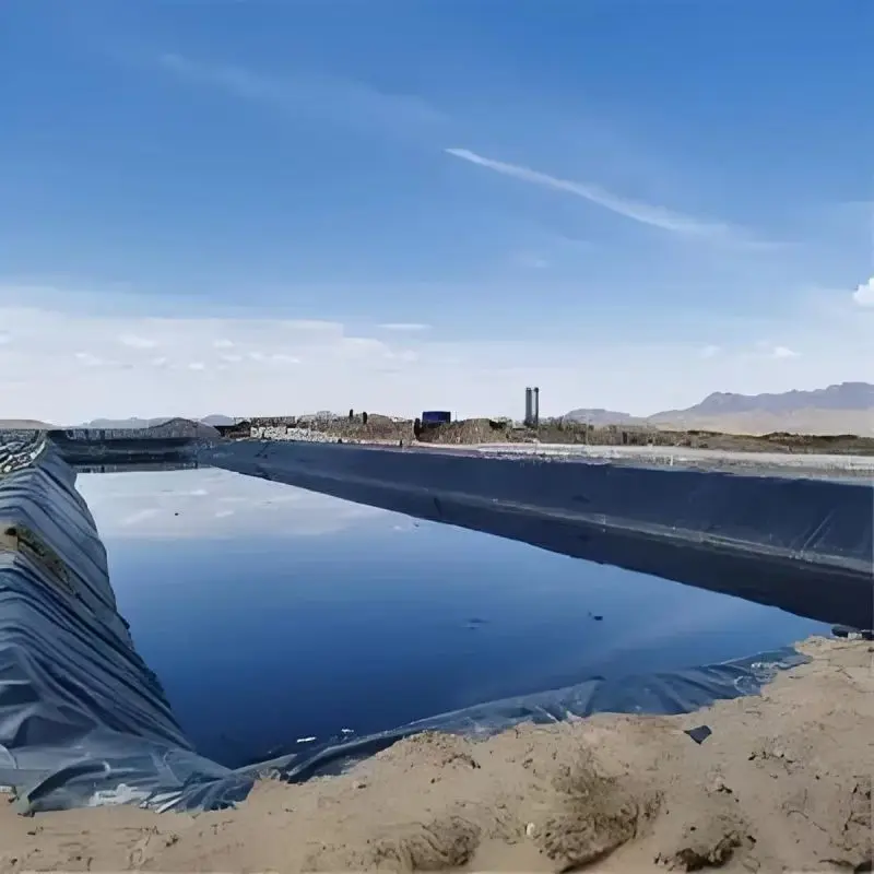 Top 10 HDPE Geomembrane Manufacturers in China