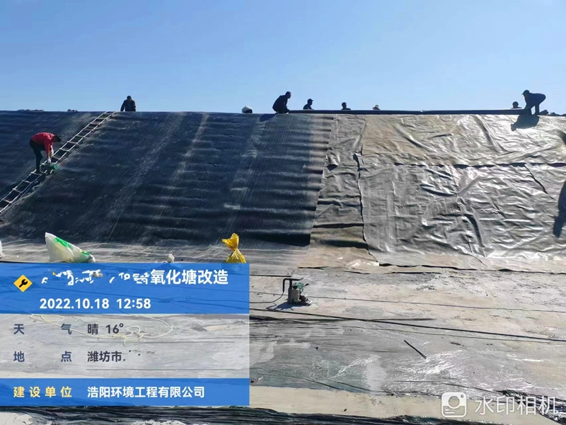 geomembrane-d.webp