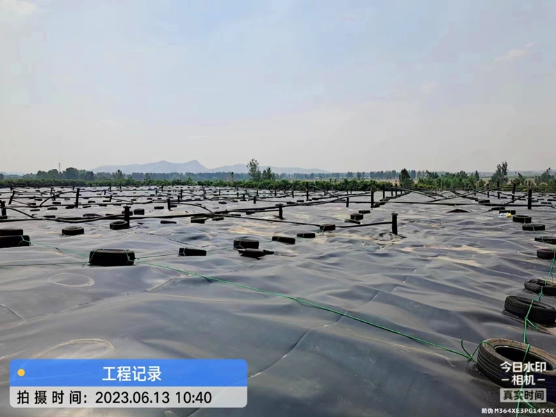 geomembrane-e.webp