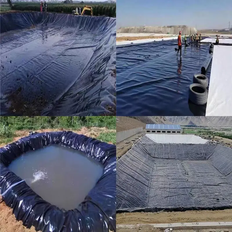 geomembrane4.webp