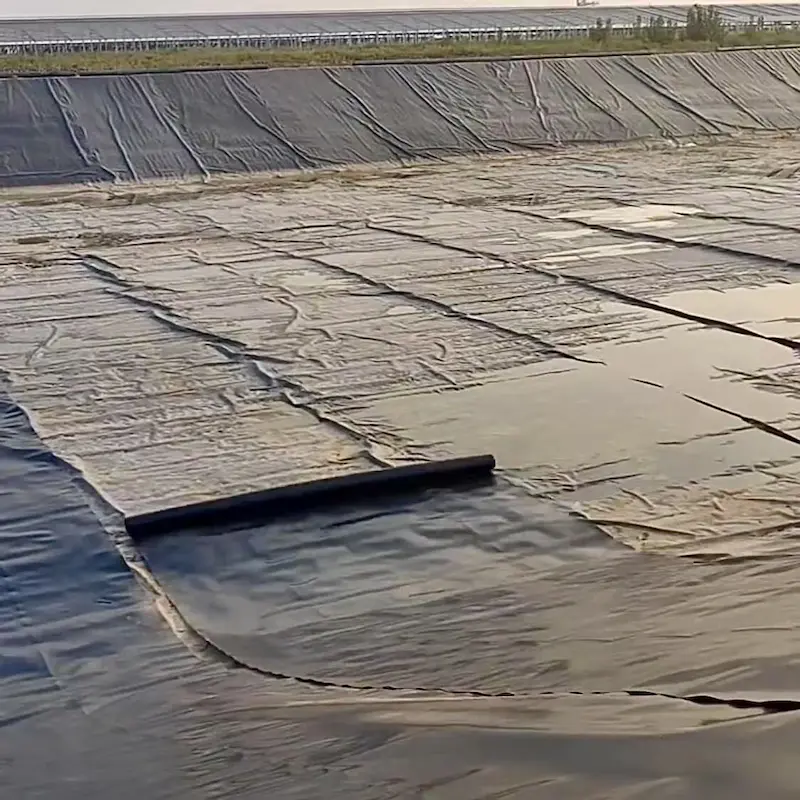 geomembrane4.webp