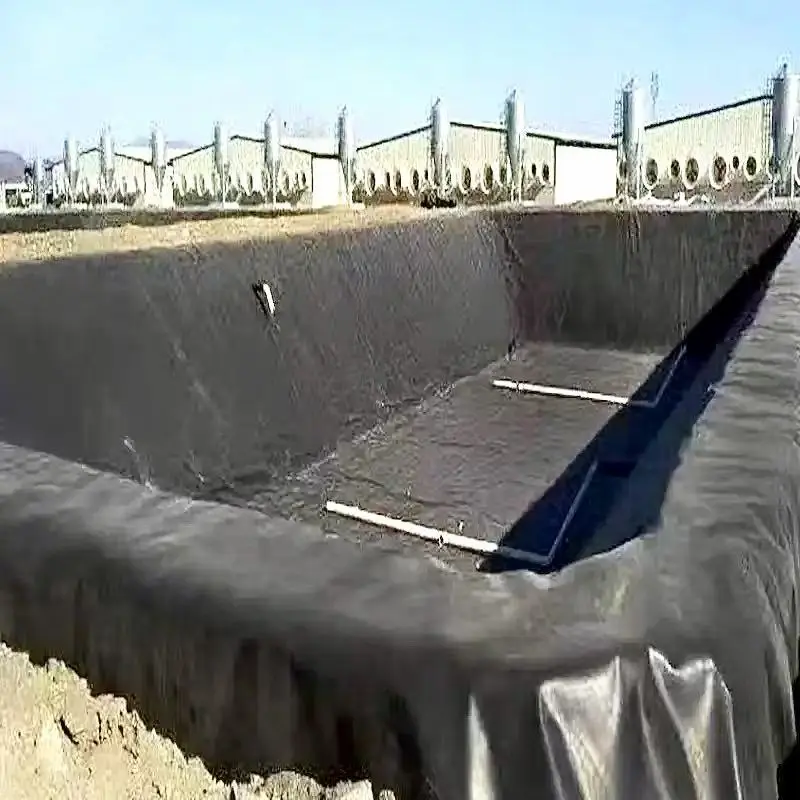 geomembrane7.webp