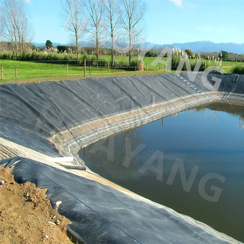How to choose geomembrane for building fish pond? D