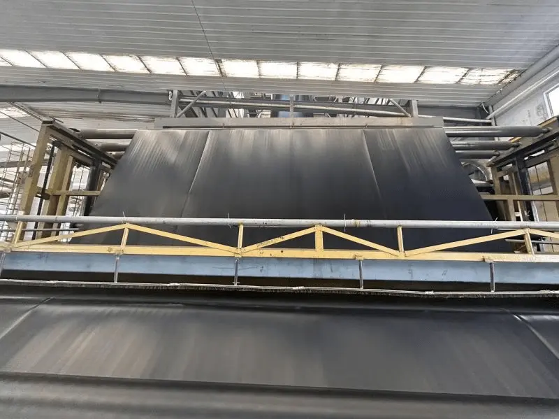 Single and double sided texured geomembrane process flow China M
